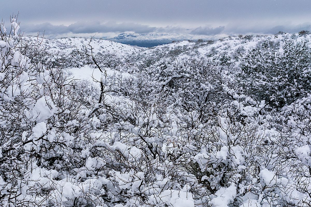 Snow covered Bellota Trail in Oracle State Park. February 2019.